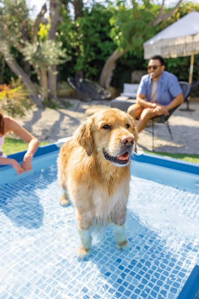 Σετ πισίνας Pet Frame με φίλτρο για κατοικίδια τετράγωνο (πακέτο GS)