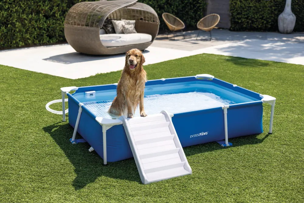 Σετ πισίνας Pet Frame με φίλτρο και ράμπα για κατοικίδια ορθογώνια (πακέτο GS)