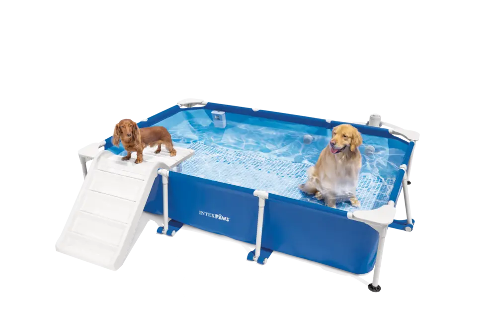 Σετ πισίνας Pet Frame με φίλτρο και ράμπα για κατοικίδια ορθογώνια (πακέτο GS)